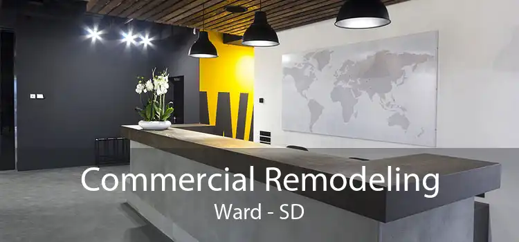 Commercial Remodeling Ward - SD